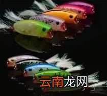 什么是路亚钓鱼 什么是路亚