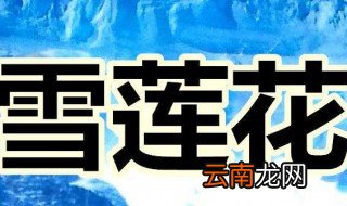 西藏红雪莲的吃法 三种常见的天山雪莲吃法