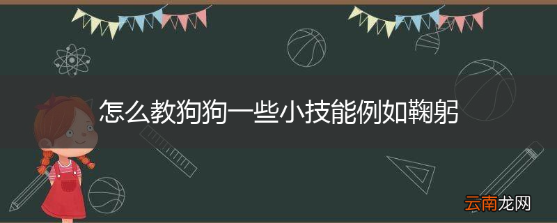 怎么教狗狗一些小技能例如鞠躬