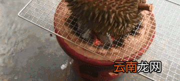 烤榴莲的做法 烤榴莲好吃吗