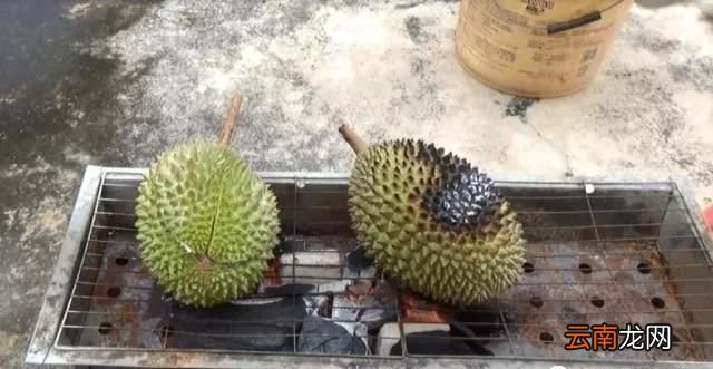 烤榴莲的做法 烤榴莲好吃吗