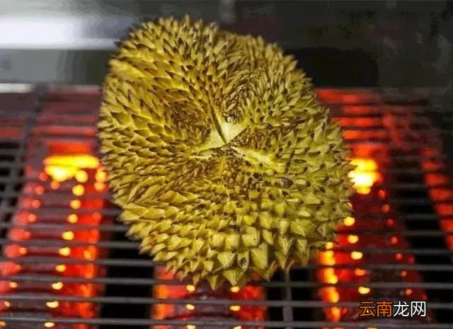烤榴莲的做法 烤榴莲好吃吗