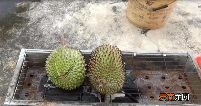 烤榴莲的做法 烤榴莲好吃吗