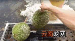 烤榴莲的做法 烤榴莲好吃吗