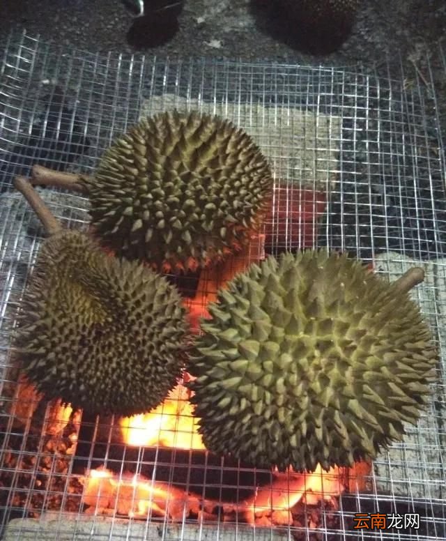 烤榴莲的做法 烤榴莲好吃吗