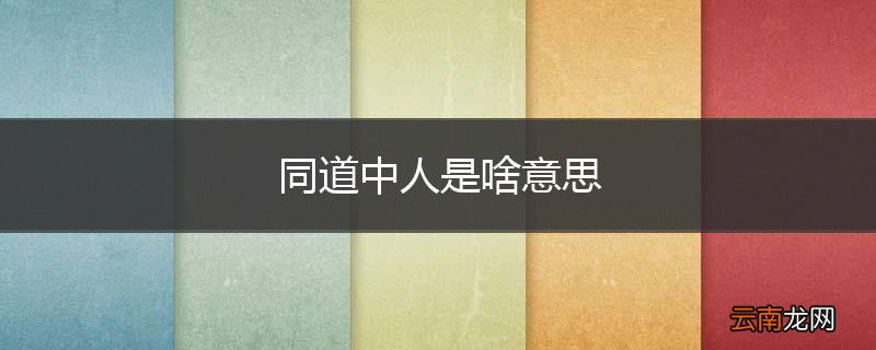 同道中人是啥意思