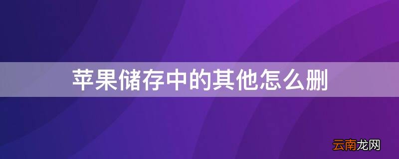 iPhone储存中的其他怎么删 苹果储存其他怎么删