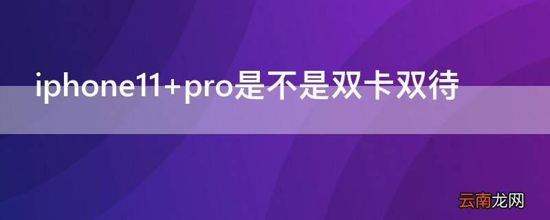 iPhone11 pro是不是双卡双待