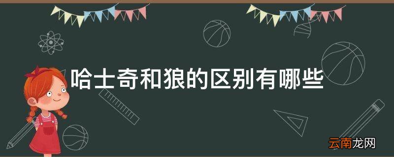 哈士奇和狼的区别有哪些