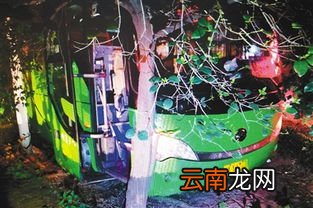 海南旅游大巴司机突发心梗,旅游途中突发心梗意外险能不能报