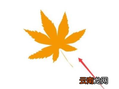 ps怎么平移复制图案