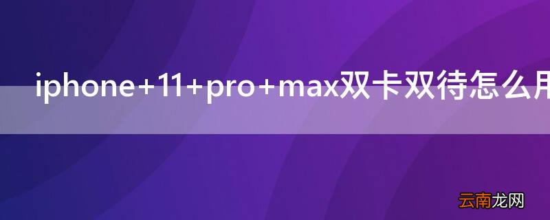 iPhone 11 pro max双卡双待怎么用