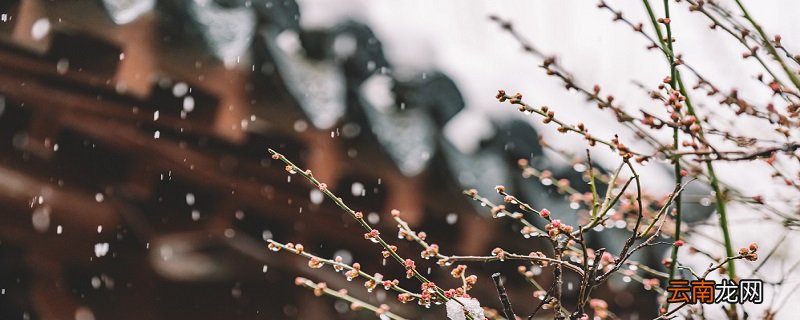 北风呼呼是什么季节 北风呼呼的季节是什么季节