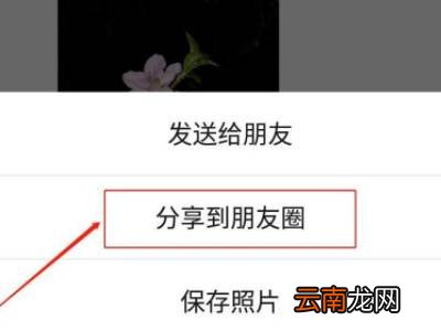 微信朋友圈怎么传原画质照片