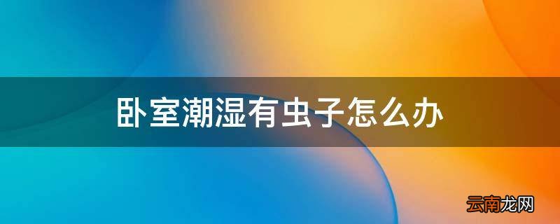 卧室潮湿有虫子怎么办