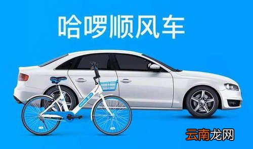 哈罗顺风车中审核时长详情介绍