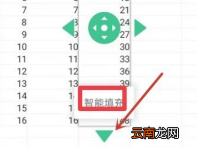 手机wps怎么下拉自动计算