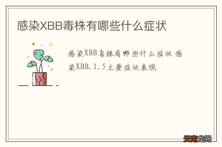 感染XBB毒株有哪些什么症状