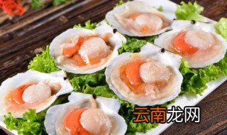 如何清洗扇贝怎么清洗 如何清洗扇贝怎样清洗