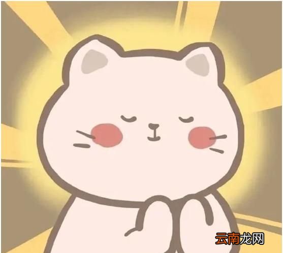 考公务员需要看什么书