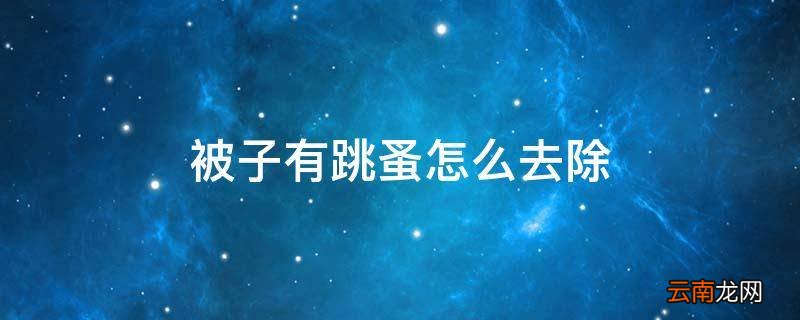 被子有跳蚤怎么去除