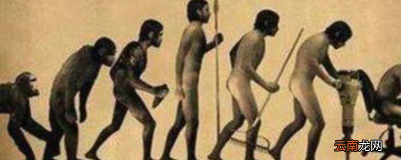 人类的本性和本质有什么区别