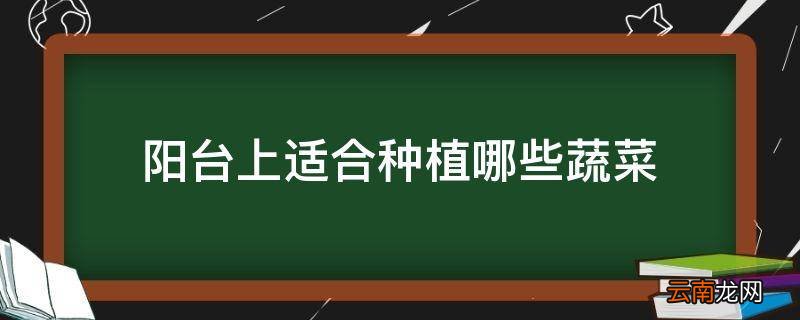 阳台上适合种植哪些蔬菜