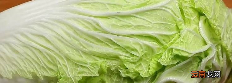 储存的白菜生腻虫怎么办，白菜招腻虫怎么保存时间长一点