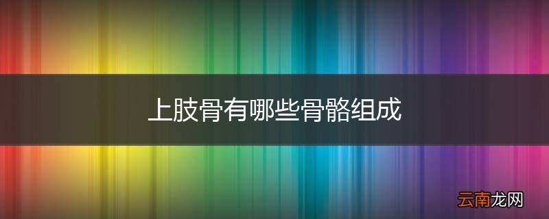 上肢骨有哪些骨骼组成