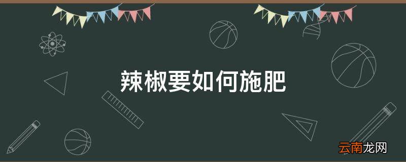 辣椒要如何施肥