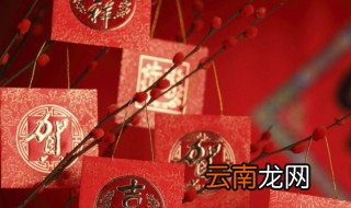 春节介绍 春节的介绍
