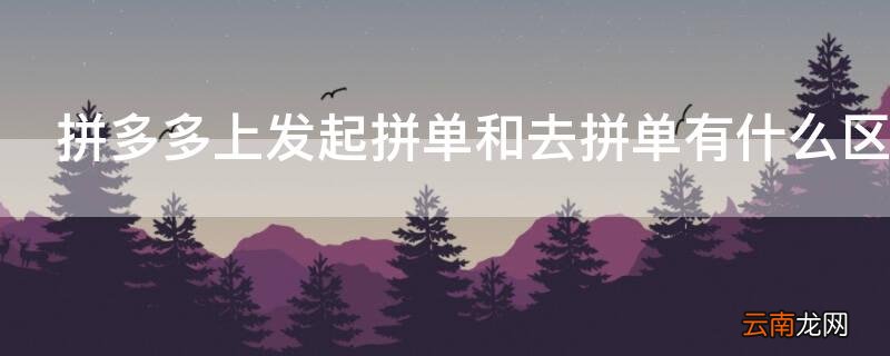拼多多上发起拼单和去拼单有什么区别
