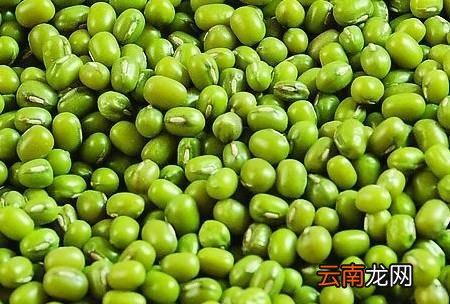 绿皮黄豆和黄皮黄豆有啥区别，绿皮豆浆和黄豆浆效果一样吗