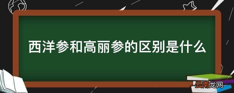 西洋参和高丽参的区别是什么