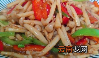 白玉菇煮多久可以吃