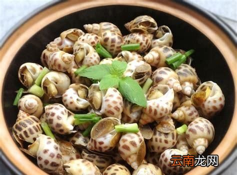 白灼花螺香螺做法 花螺和香螺的区别