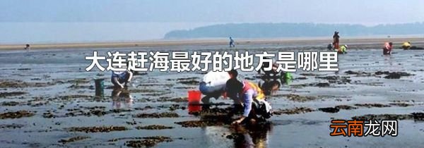 大连赶海最好的地方是哪里