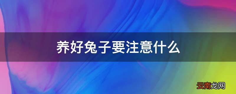 养好兔子要注意什么