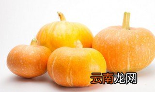 煮熟的南瓜可以给狗吃吗 南瓜煮多久可以给狗吃