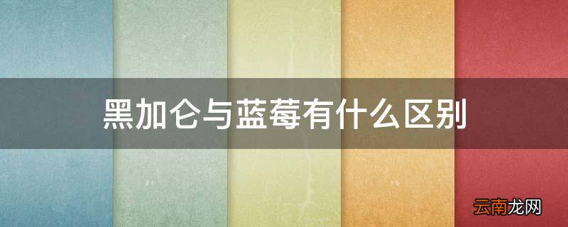 黑加仑与蓝莓有什么区别