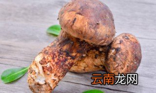 松茸干煮多久可以吃 干松茸煮多久可以吃吗