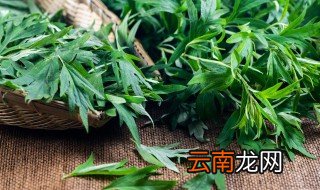 艾叶可以煮来吃吗 艾叶一般要煮多久可以吃