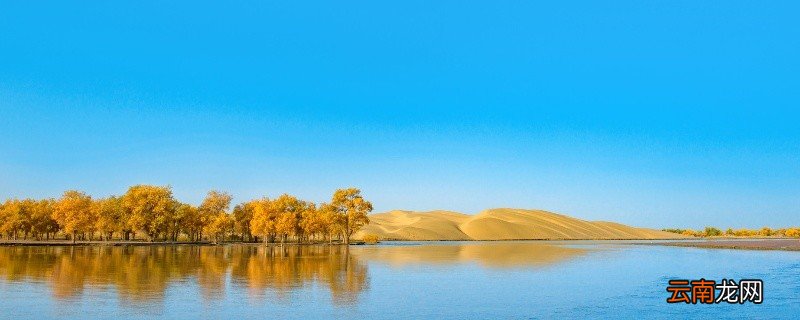 芳林新叶催旧叶流水前波让后波歌颂什么精神 芳林新叶催陈叶流水前波让后波歌颂说明了什么精神