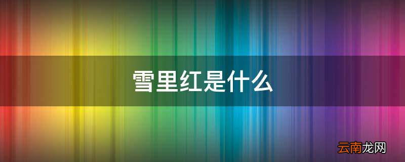 雪里红是什么