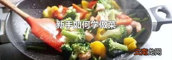 新手如何学做菜
