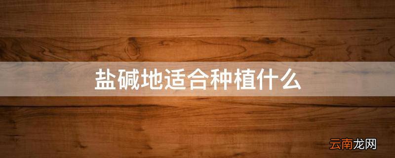 盐碱地适合种植什么