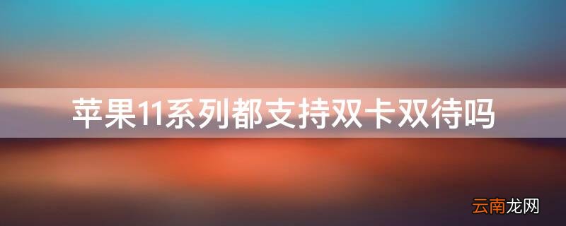 iphone11是双卡双待的么 iPhone11系列都支持双卡双待吗
