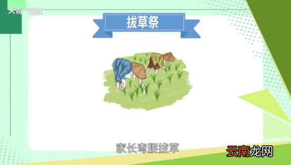 高山族的传统节日是什么 高山族主要的传统节日是什么