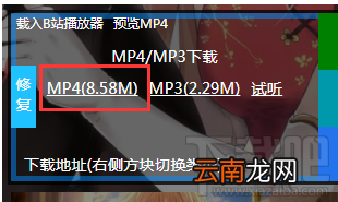 哔哩哔哩怎么下载视频？