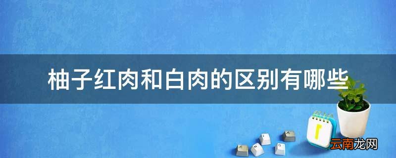 柚子红肉和白肉的区别有哪些